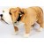 British Bulldog 68cmL Plush Soft Toy