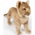Lion Cub Standing 40cmL Plush Soft Toy
