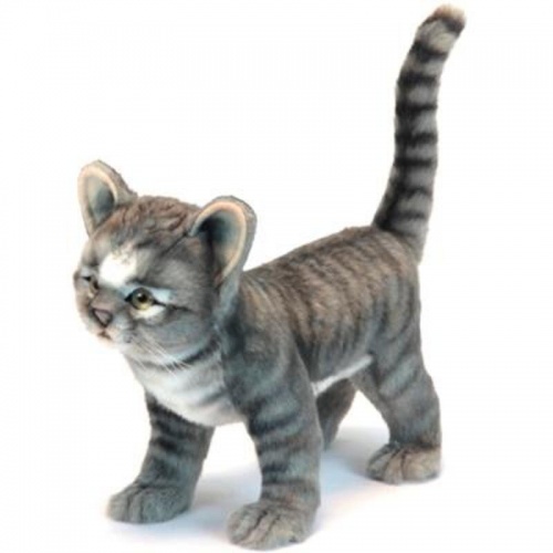 Kitten Grey Standing 30cm Realistic Soft Toy by Hansa