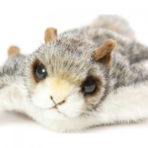 Flying Squirrel 35cmL Plush Soft Toy