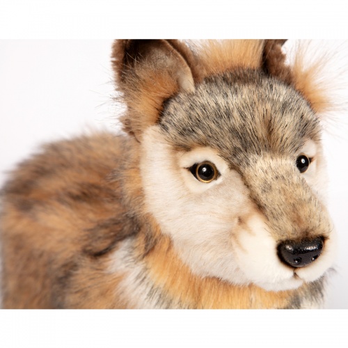 Grey Wolf Cub Standing 44cmL Plush Soft Toy