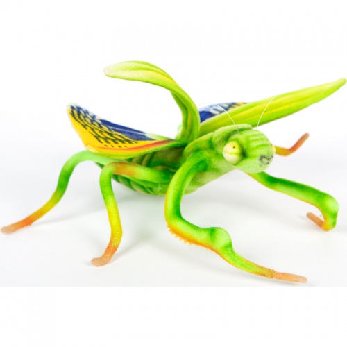 Praying Mantis 26cmL Plush Soft Toy