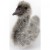 Baby Swan 18cmL Plush Soft Toy