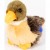 Baby Duck 11cmH Plush Soft Toy