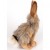 Jack Rabbit 22cmH Plush Soft Toy