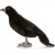 Black Crow 31cmL Plush Soft Toy