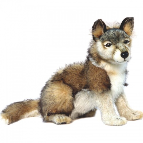 Grey Wolf Cub Sitting 37cmL Plush Soft Toy