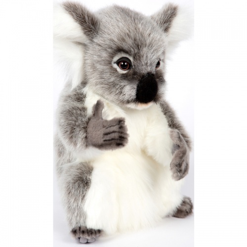 Koala 29cmH Plush Soft Toy