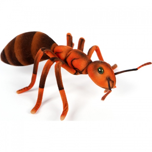 Ant 23cm Realistic Soft Toy by Hansa