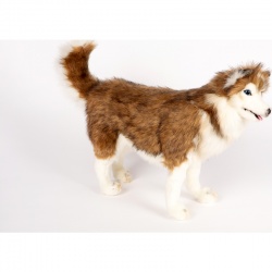 Siberian Husky 40cmL Plush Soft Toy